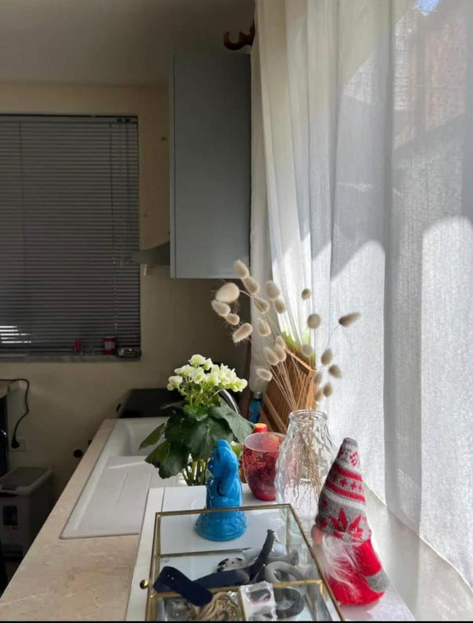 Brilant Studio Apartment City Center Тирана Екстериор снимка